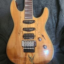 Electric Guitar (Its Available)