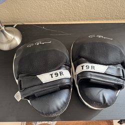 Boxing Pads