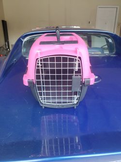 Small Cat/dog Carrier