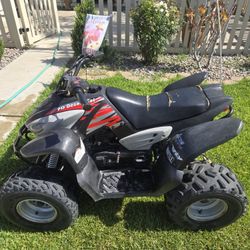Atv ,Quad Decert Cat ,black And Gray 
