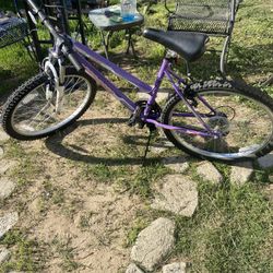 Magma Echo Ridge  Hard tail Bike