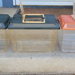 3 Reptile Containers 
