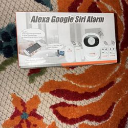 alexa / siri alarm