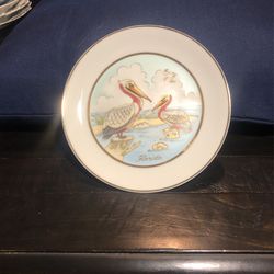 Collectible Plate- Florida Pelicans