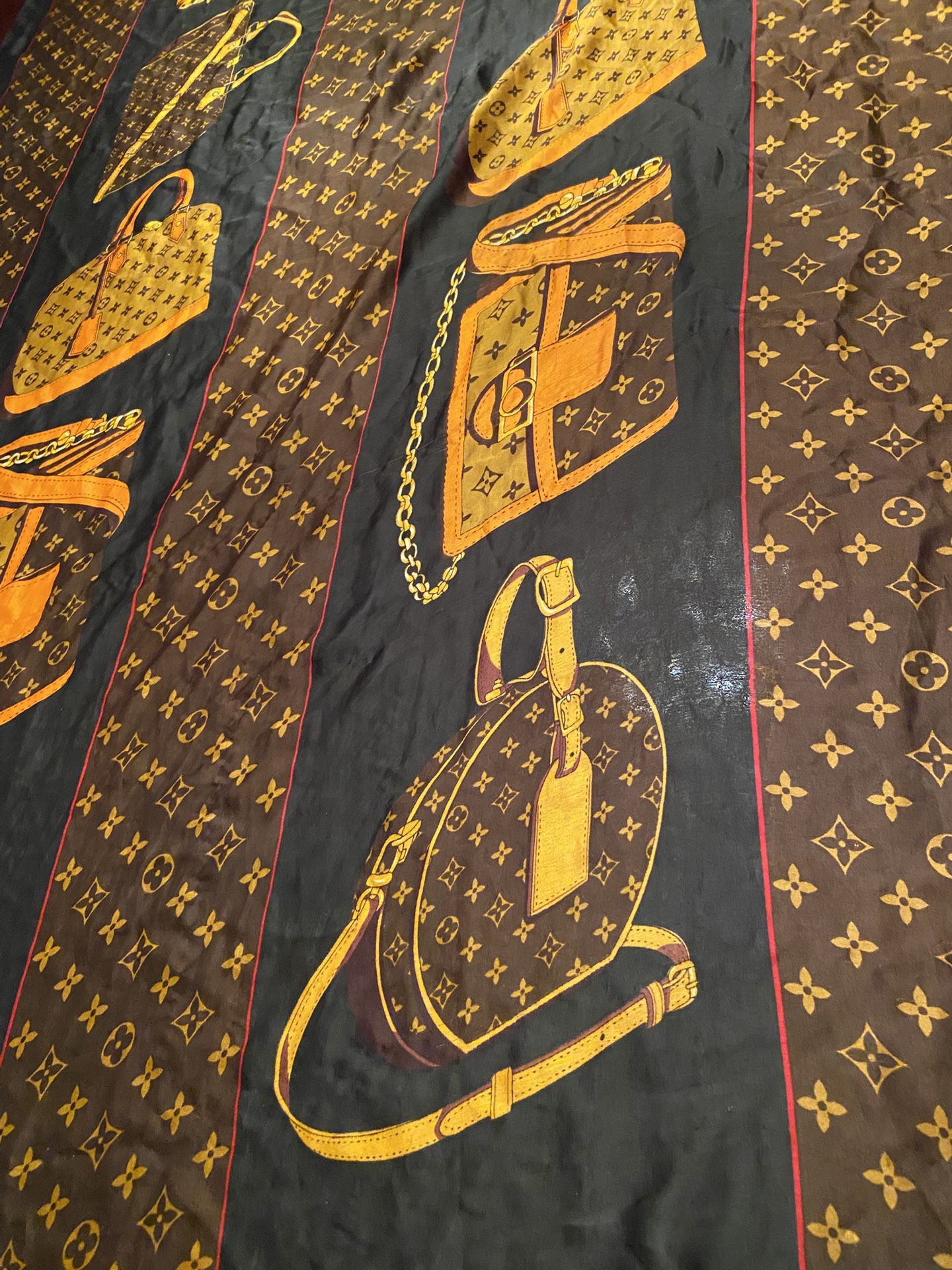 Louis v sunglasses Holder & Scarf