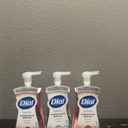 Dial Foaming Hand Soap