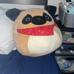 Pug Squishmallow 16 Inches