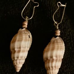 Unbranded Plastic Cone Seashell Earrings