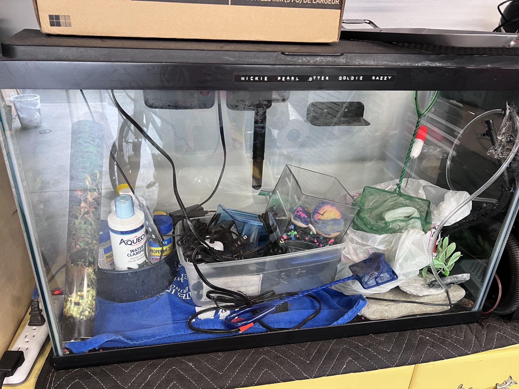 30 Gallon Glass Aquarium Tank