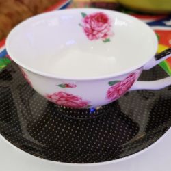 Stechol Gracie Cup And Saucer