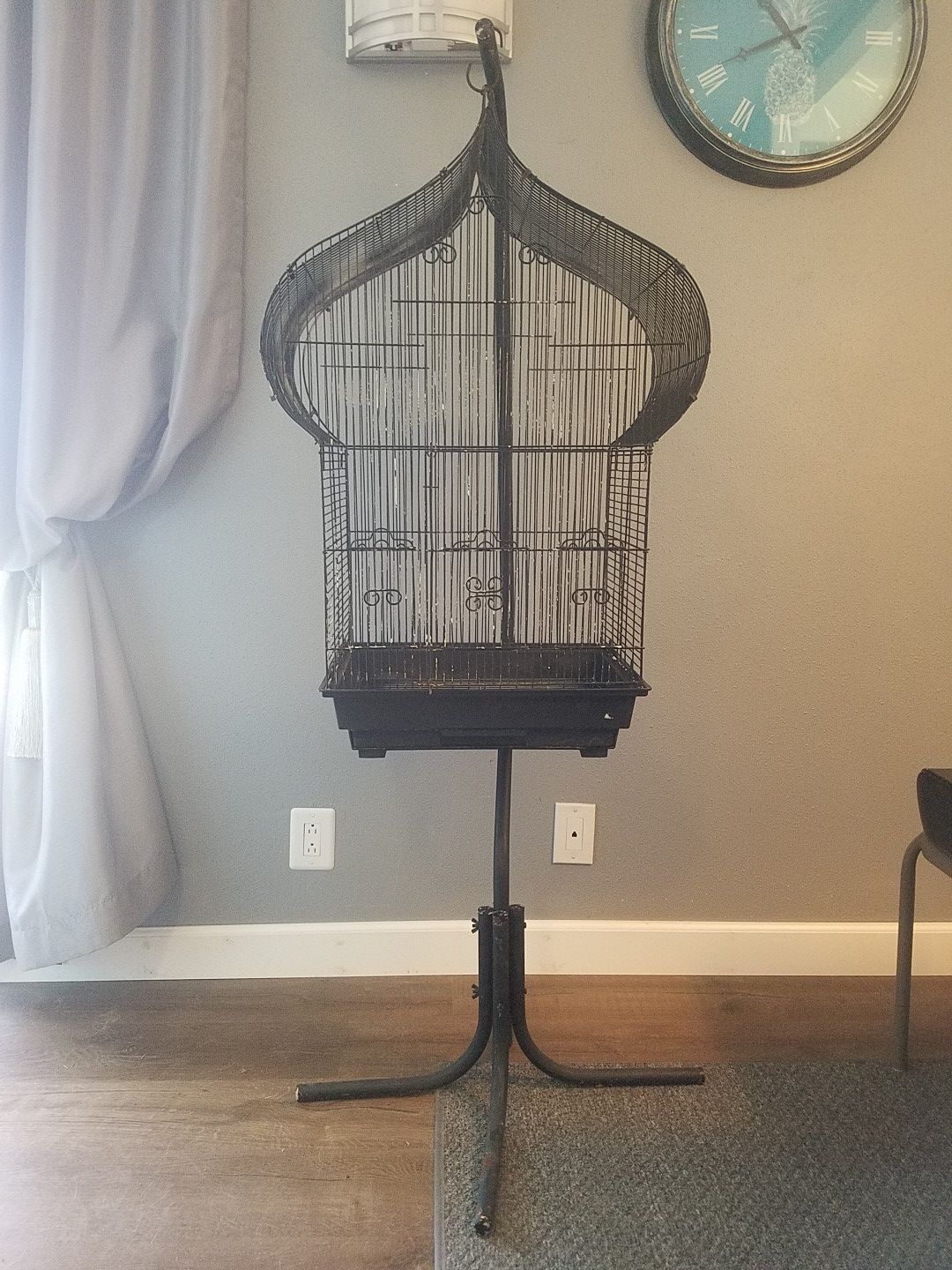 Bird Cage