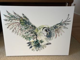 Wall Art Canvas Owl Print - 24” Deep X 32” Length