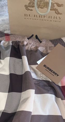 Burberry Swimming Shorts Size M