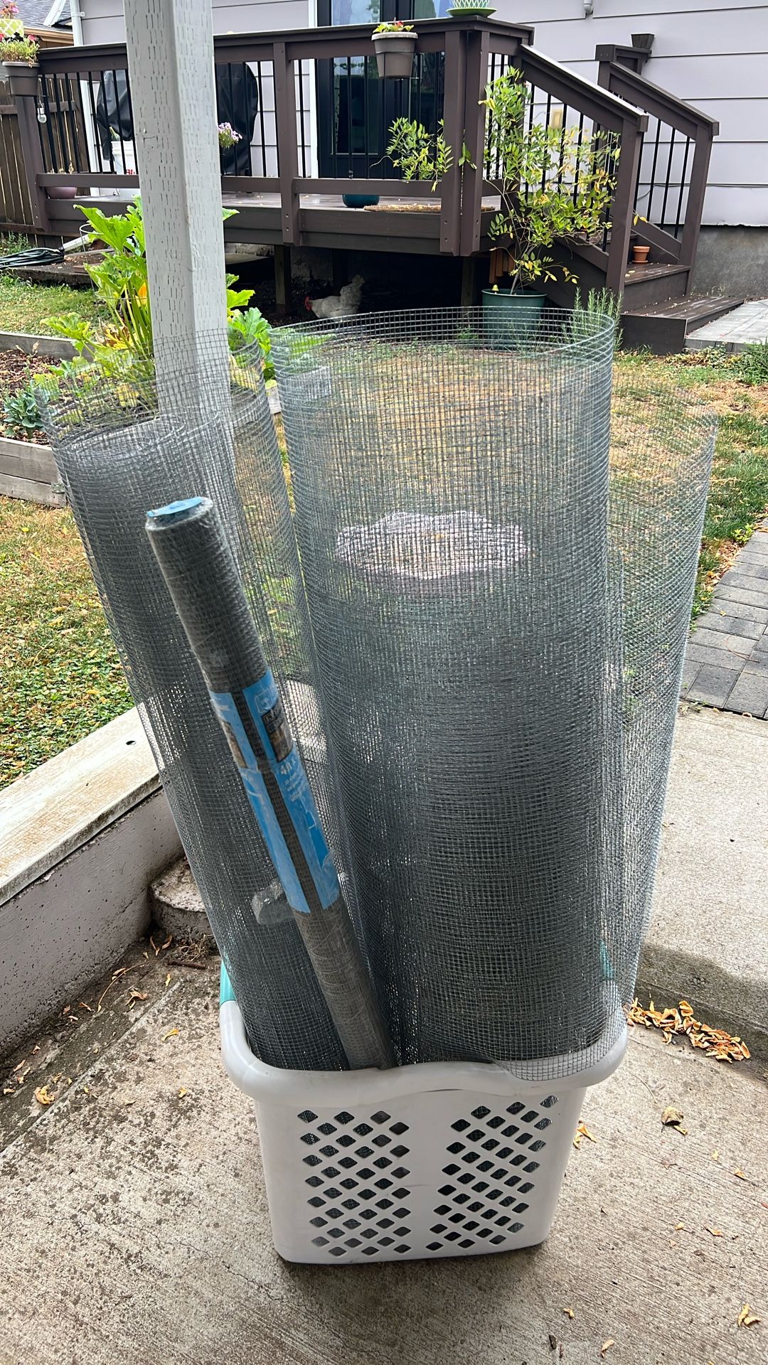 Chicken Wire