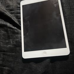 iPad mini