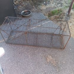 LARGE TRAP