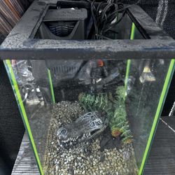 Fish Tank 