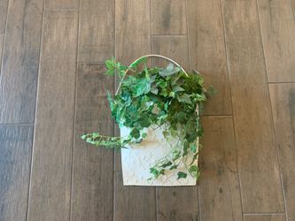 Metal Basket With Greenery