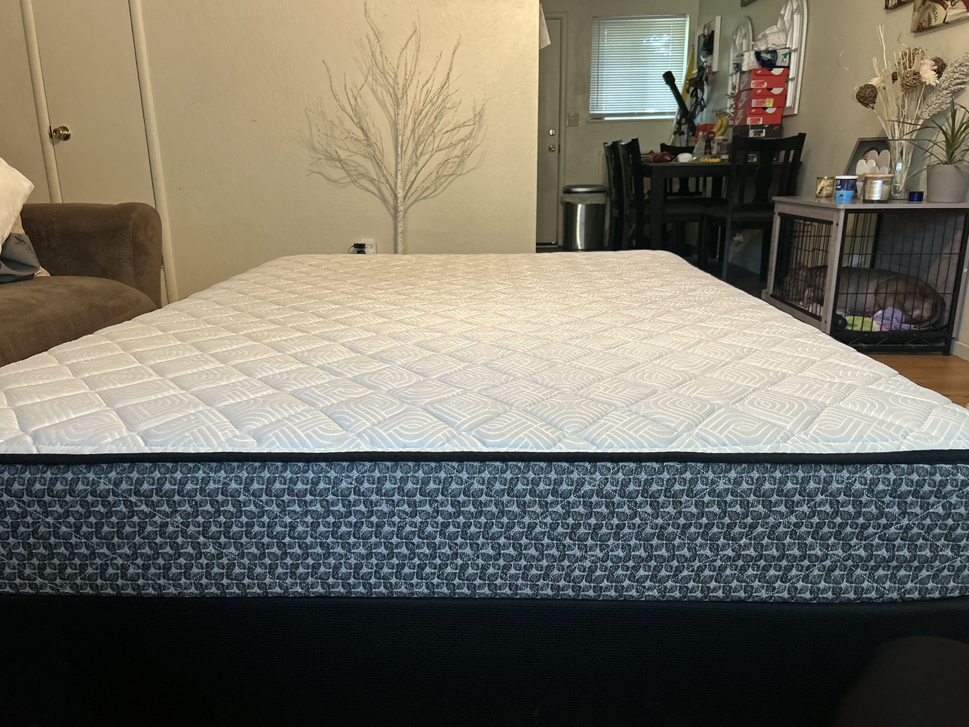Queen Mattress