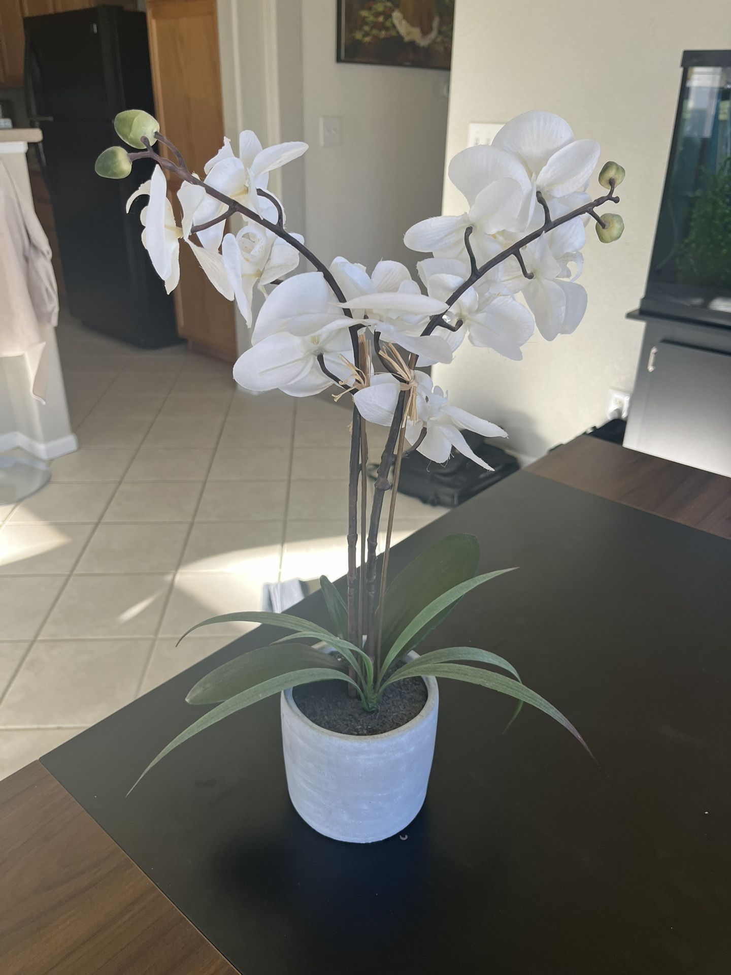 Faux White Orchid In Pot
