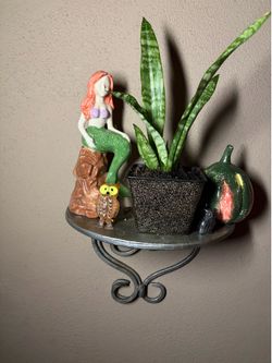 Plant