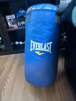 Everlast Boxing bag