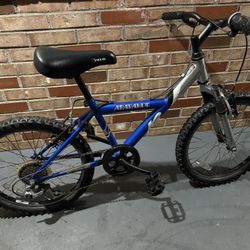 20” Bike 