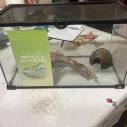 Reptiles amphibians $25