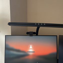 24” Acer Monitor (165hz, 1080p HD)