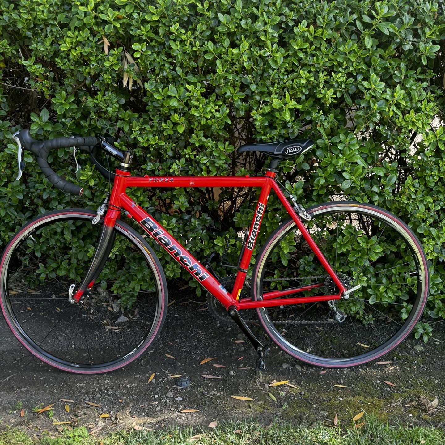 2006 bianchi road bike 2006 Bianchi Forza 54cm Road Bike for Sale in Santa Clara, CA
