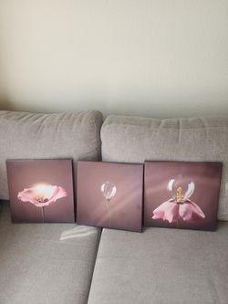 3 pictures