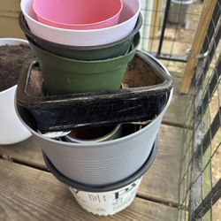 Free: 11-12 Flower Pots 