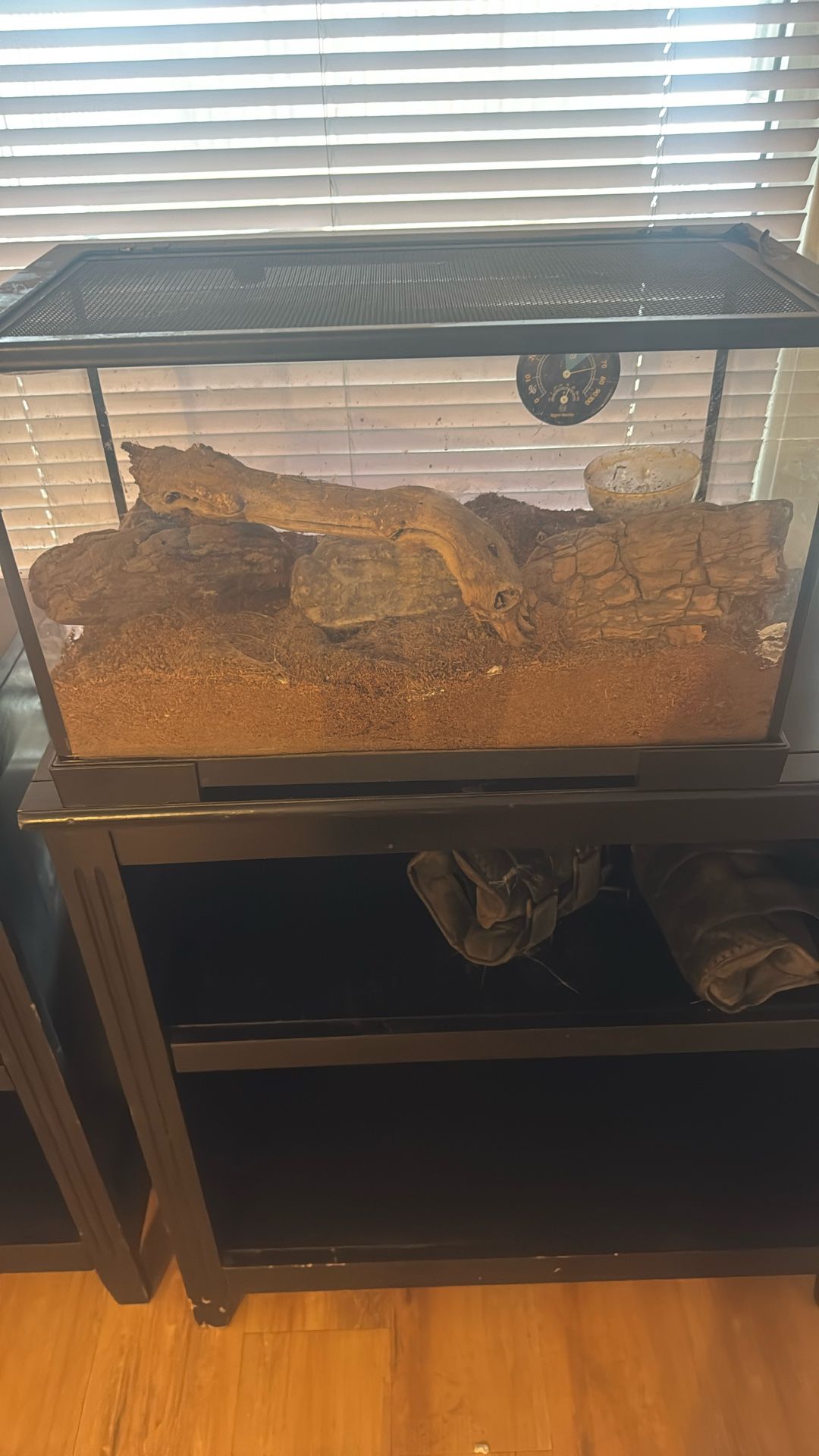 10 Gallon reptile enclosure