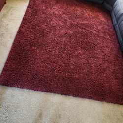 8x10 Maroon Shag Area Rug
