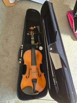Viola 14