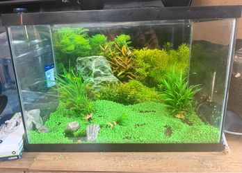 25 gallon fish tank