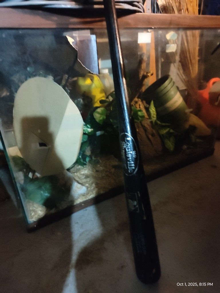 Glass Tank (Not Sealed)