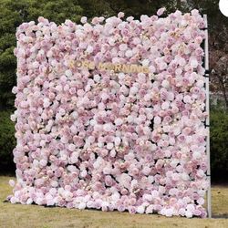 Rose Morning flower Wall