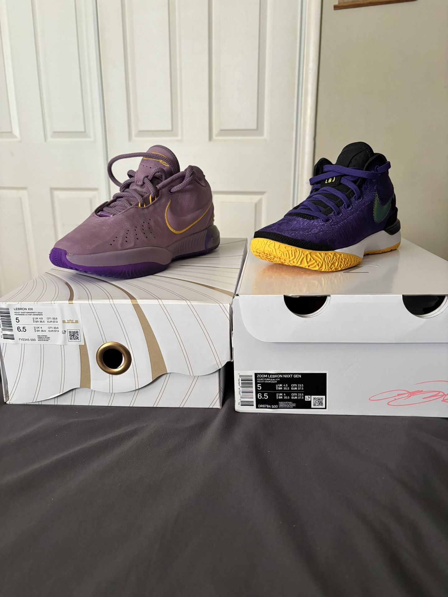 Lebron Basketball Shoes