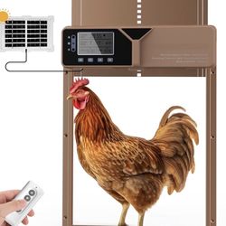 Automatic Chicken Coop Door