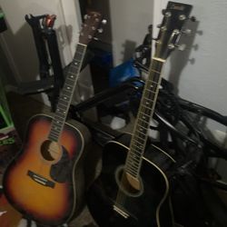 2 guitars Danville and Indiana scout