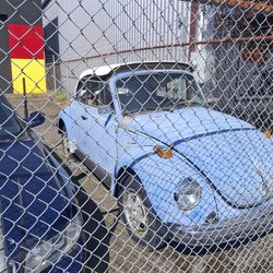 1977 Volkswagen Beetle