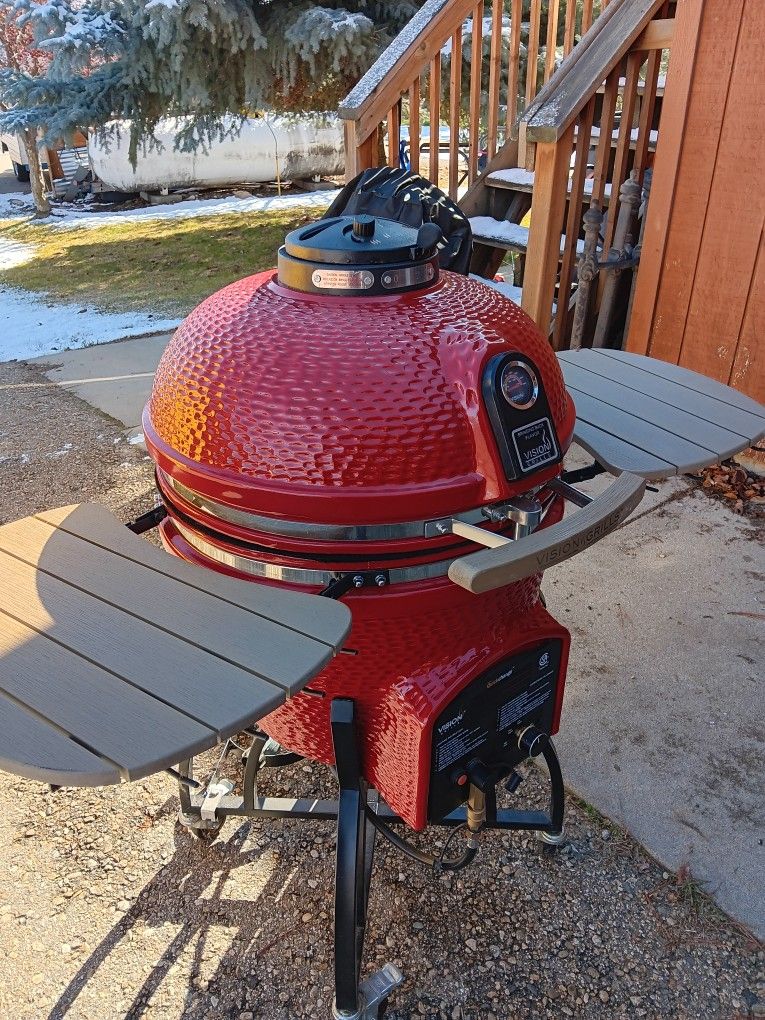 Vision Grill Charcoal/Gas