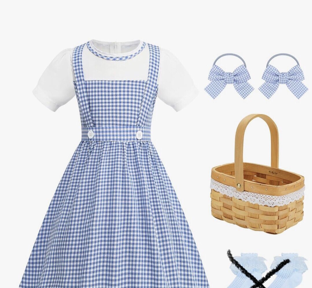 Wizard of OZ Dorothy costume 