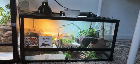 Leopard gecko enclosure