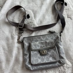 Silver Coach Bag 
