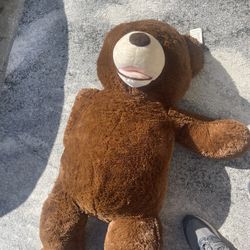 Big Teddy Bear