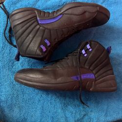 Jordan 12 Black Dark Concord