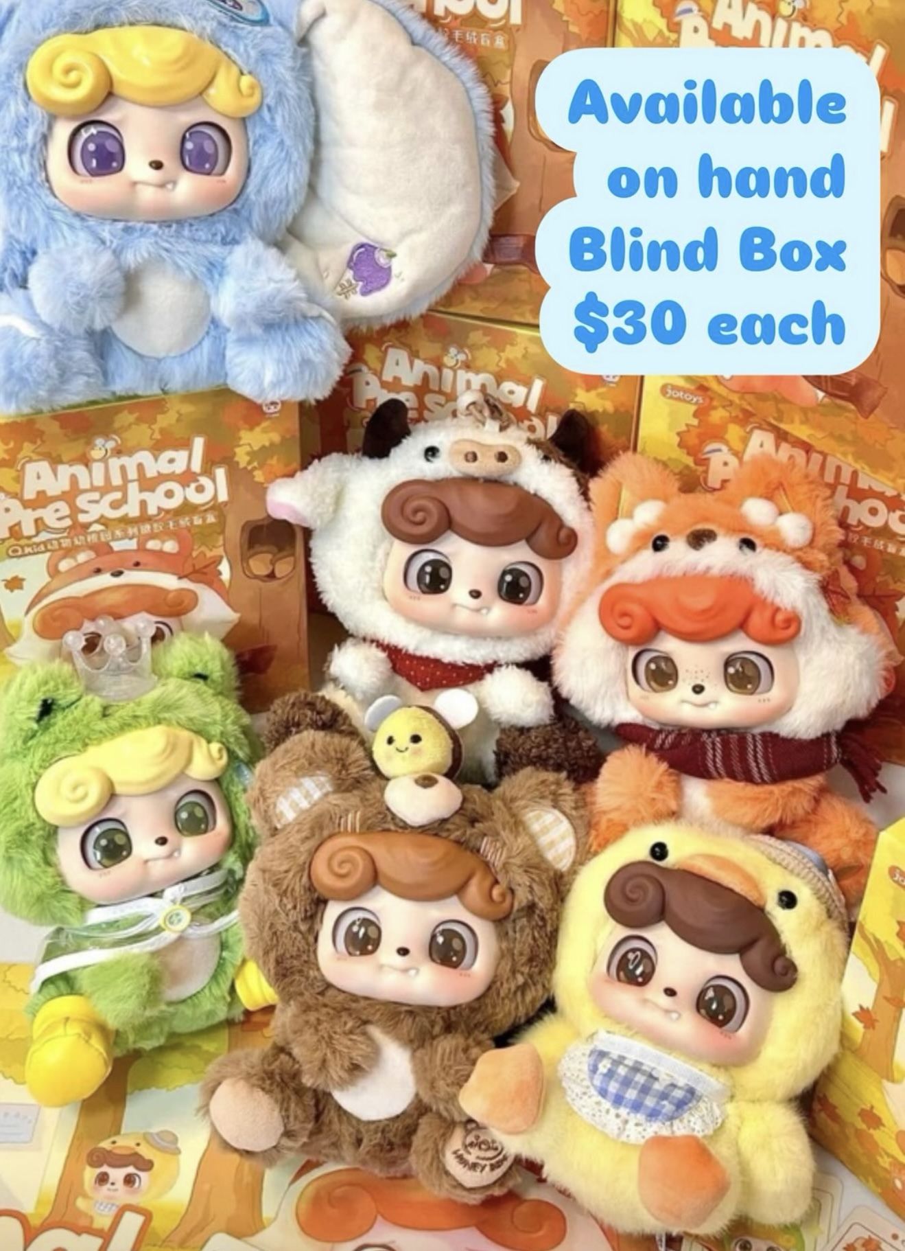 Animal preschool Blind Box Full set