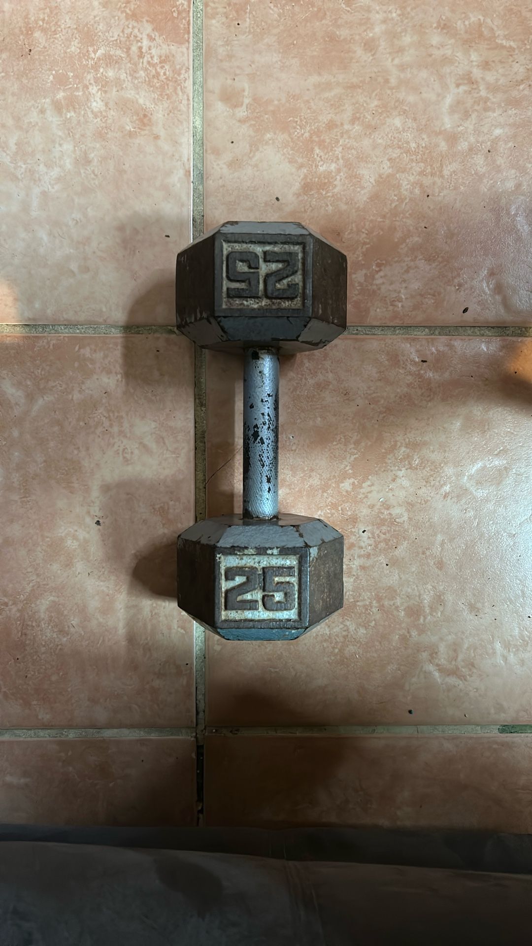 25lb Dumbell
